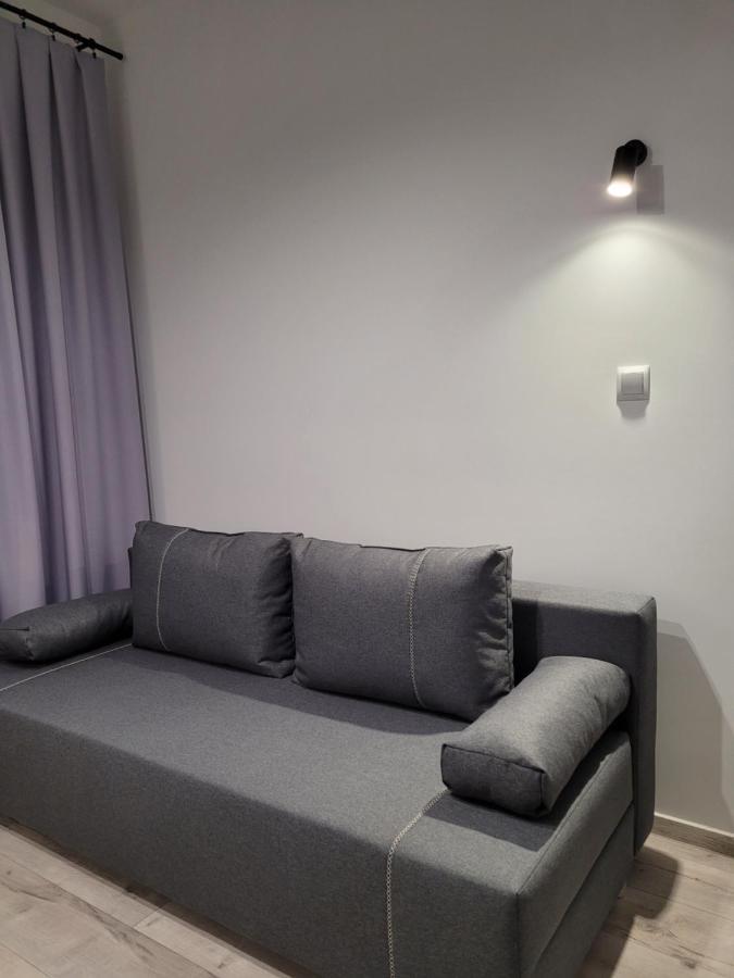 Leszka Loft Apartment Wodzisław Śląski Екстериор снимка